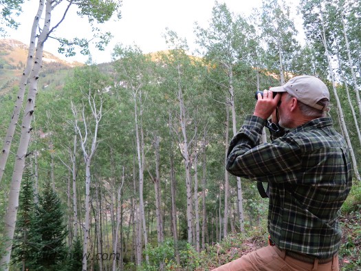 Lou takes a break to spot a herd of elk.