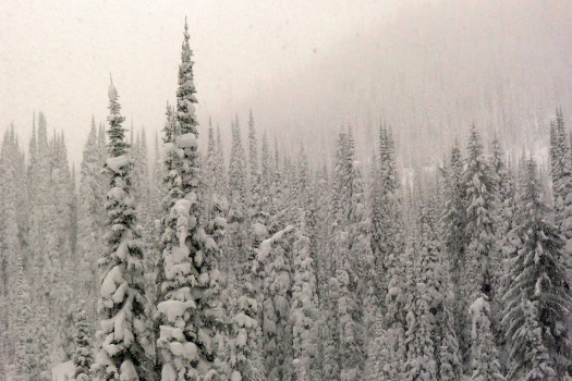 Selkirk Valhalla powder skiing. Kennedy photo. Click to enlarge. Kennedy photo - Selkirk Valhalla powder skiing lodge, Kootenays. Click to enlarge.