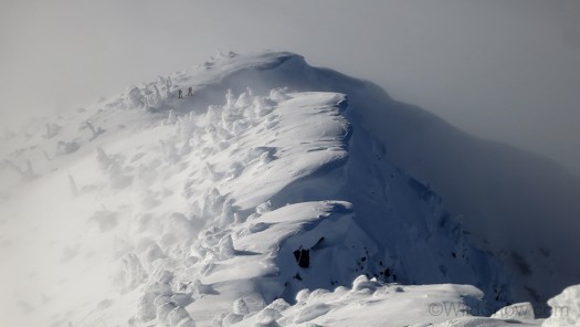A couple of snowboarders were getting set to enter via a stiff line called First Choice.
