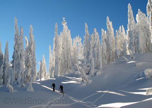 We're tourists, so we can't get enough of the ghost trees. We're tourists, so we can't get enough of the ghost trees.