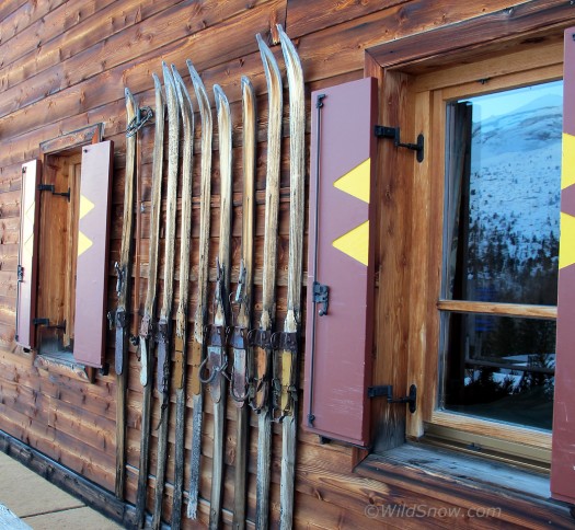 skis