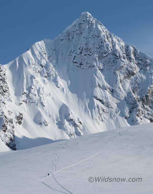 Skiing back to camp on the first day, with an incredible mountain behind. I believe it is called the White Fang. Fitting name. The tentative plan for tomorrow is to ski the northeast face on the other side. Skiing back to camp on the first day, with an incredible mountain behind. I believe it is called the White Fang. Fitting name. The tentative plan for tomorrow is to ski the northeast face on the other side.