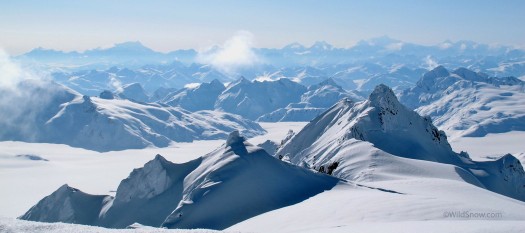 wildsnow3