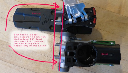 Comparison of Dynafit Radical and Beast bindings, rear heel unit pin lengths are the same. But Beast pins insert fully into boot while Radical pins do not, due to required gap between boot and binding. Comparison of Dynafit Radical and Beast bindings, rear heel unit pin lengths are the same. But Beast pins insert fully into boot while Radical pins do not, due to required gap between boot and binding.