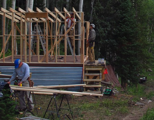 Shed Shed