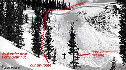 The slope and our route. Terrain features and a few missing tree branches indicate danger, but the slope is so small... The slope and our route. Terrain features and a few missing tree branches indicate danger, but the slope is so small...