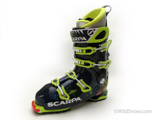 Scarpa-freedom