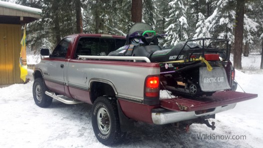LoyalSteed