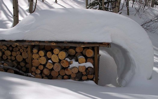 Snow crawl on the south shed. Snow crawl on the south shed.