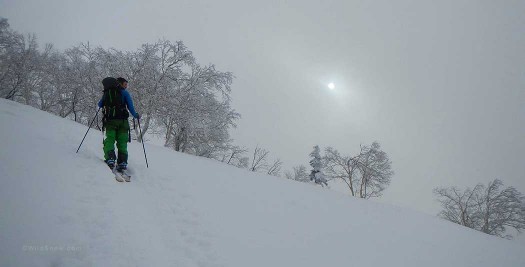 The BD Carbon Compactor Poles were great for packing in my luggage all the way to Japan, and for full days on the skin track. The BD Carbon Compactor Poles were great for packing in my luggage all the way to Japan, and for full days on the skin track.