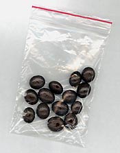 Coffee beans. Coffee beans.