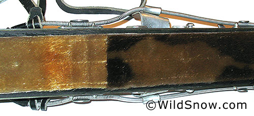 And check these out, Hauk's sealskin climbing skins made out of real seal fur. Look out, PETA is coming! I've used real seal skins, and the glide is unbelievable. Someday they'll make synthetic that's just as good.... This skin is made with two strips of fur, the forward one still has the animal's pigment pattern on it. And check these out, Hauk's sealskin climbing skins made out of real seal fur. Look out, PETA is coming! I've used real seal skins, and the glide is unbelievable. Someday they'll make synthetic that's just as good.... This skin is made with two strips of fur, the forward one still has the animal's pigment pattern on it.