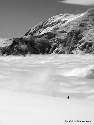 foraker_scale