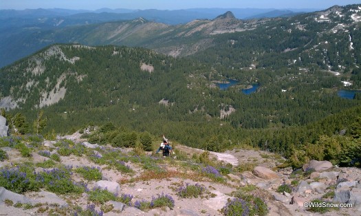 Hiking on Mount Jefferson to reach summer skiing.