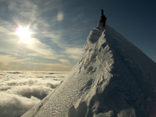 Ski mountaineering the summit ridge above the clouds