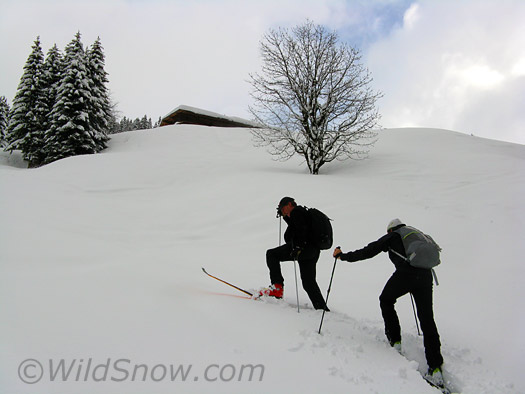 Austrian backcountry skiing and ski touring.