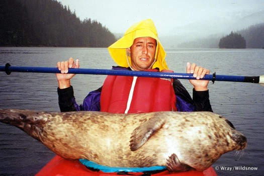 A standard day in the Prince Williams Sound, AK?