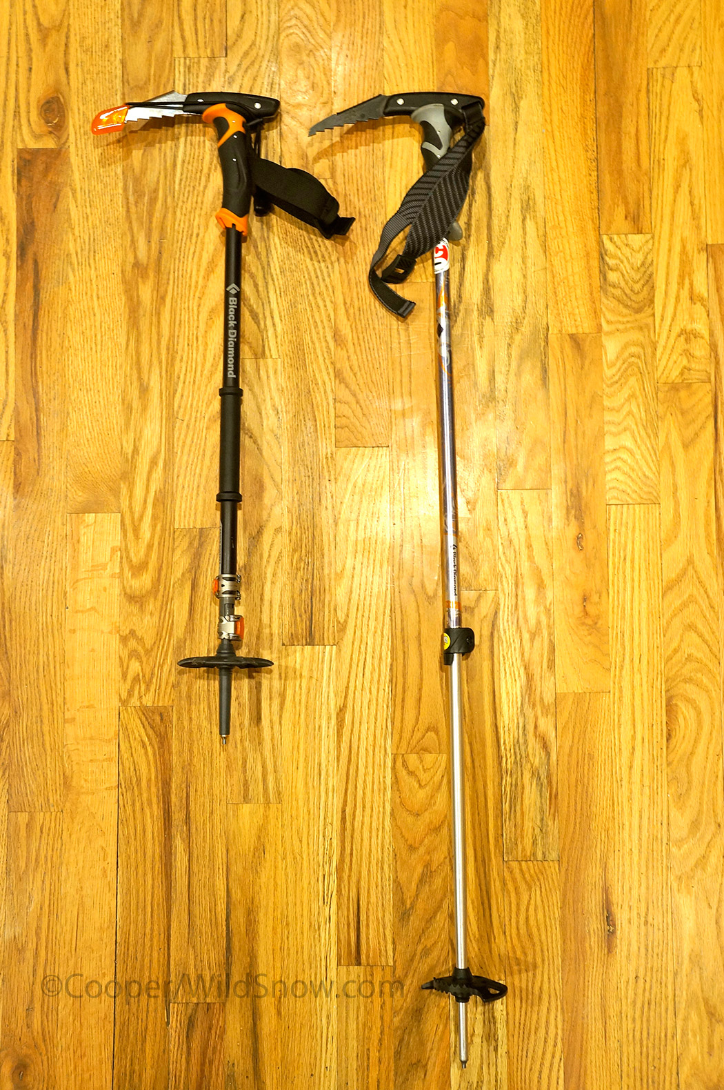 carbon whippet ski pole