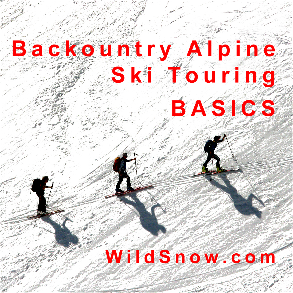 Alpine Ski Touring Skis Backcountry Gear Basics The inside Ski Touring Techniques