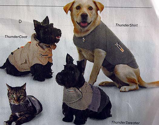 Best solution for dog and cat anxiety. Can I wear one?