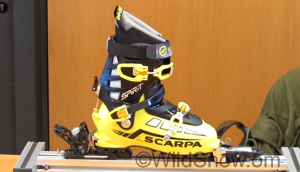 IMG_1918-copy.jpg