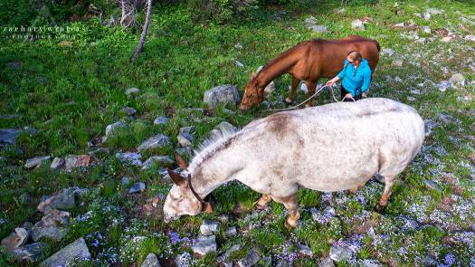 Having the animals along does create a bit more work, but it’s a lot of fun too.