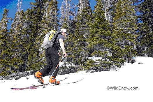 On tour, the ski's average weight was fine for what they yield on the down -- smooth and strong. 