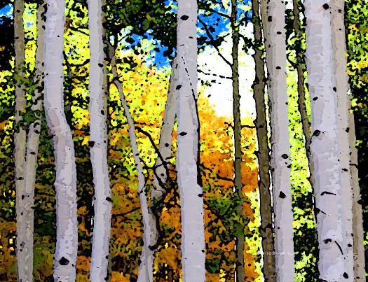 Winter is an etching, spring a watercolor, summer an oil painting and autumn a mosaic of them all. Stanley Horowitz. Click to enlarge. Winter is an etching, spring a watercolor, summer an oil painting and autumn a mosaic of them all. Stanley Horowitz. Click to enlarge.