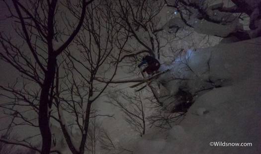 Nata jumping off a lovely snow covered tree. Pillows here are a bit different than the pine tree variety back home. Nata jumping off a lovely snow covered tree. Pillows here are a bit different than the pine tree variety back home.