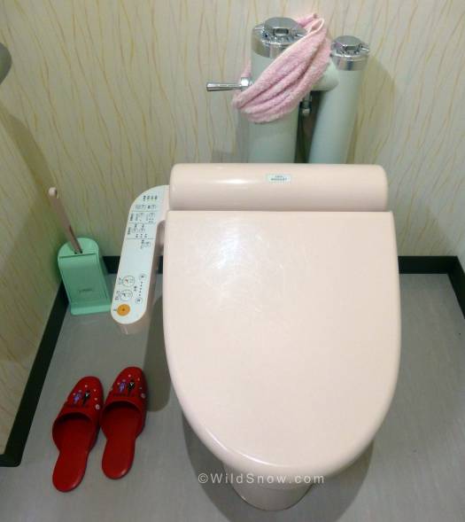 Amazing what happens to one's attitude when you land on a heated toilet seat! It’s all about the controls, front & back rinsing, what a concept! Amazing what happens to one's attitude when you land on a heated toilet seat! It’s all about the controls, front & back rinsing, what a concept!