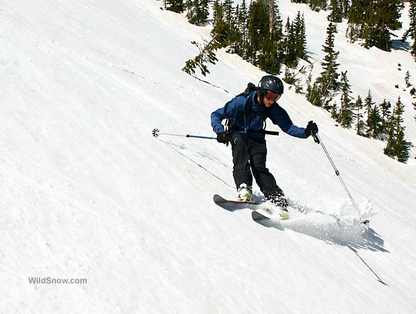 Louie likes to feel the power in his skis. Louie likes to feel the power in his skis.