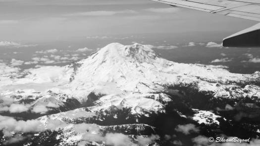 A rare view of Mount Rainier on the flight into Seattle.