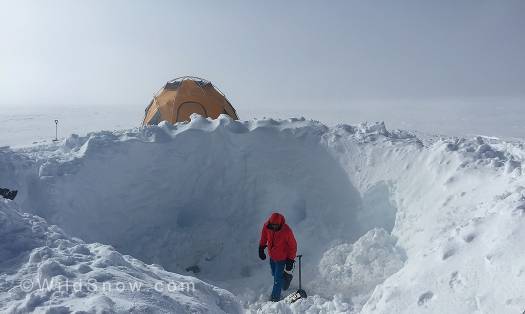 Despite the weather moving in, we uprooted the tent and began filling in the crater. Here, Louie gets pitted. Despite the weather moving in, we uprooted the tent and began filling in the crater. Here, Louie gets pitted.