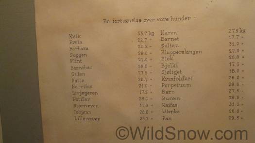 Nansen's planning for his ski trek attempt at reaching the North Pole included the weight of every dog. They would eventually be eaten. Nansen's planning for his ski trek attempt at reaching the North Pole included the weight of every dog. They would eventually be eaten.