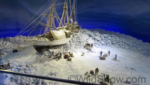 This is what Fram looked like frozen in the Arctic ice and allowed to drift as close to the North Pole as possible. This is what Fram looked like frozen in the Arctic ice and allowed to drift as close to the North Pole as possible.