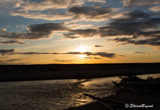 The Delta River is not too impressive at the moment, but judging by the size of the wash, it can get raging when it wants to. The Delta River is not too impressive at the moment, but judging by the size of the wash, it can get raging when it wants to.