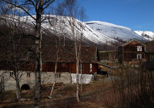 Endre purchased this classic Norwegian farm a few years ago. He's got the ski factory set up in the barn to left, and he's been modernizing the house. When I visited they were in a remodeling phase at the factory so I didn't get any full production photos, but nonetheless we found plenty of interesting items to talk about. Endre purchased this classic Norwegian farm a few years ago. He's got the ski factory set up in the barn to left, and he's been modernizing the house. When I visited they were in a remodeling phase at the factory so I didn't get any full production photos, but nonetheless we found plenty of interesting items to talk about.