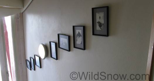 As with other lodges we've visited, Turtagro is big on local history. Dozens of wonderful photographs adorn. As with other lodges we've visited, Turtagro is big on local history. Dozens of wonderful photographs adorn.
