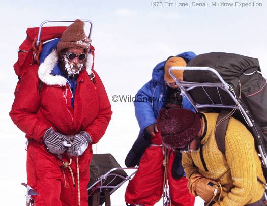 Tim Lane, Denali Muldrow Glacier route, 1973. Tim Lane, Denali Muldrow Glacier route, 1973.