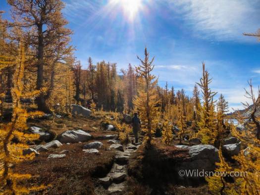 Once we got over Asgard into the main Enchantments, the larches exploded with color. 
