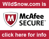 Here at WildSnow we take security very seriously , we expend enormous amounts of time and money to defend you, our readers, from any threats.