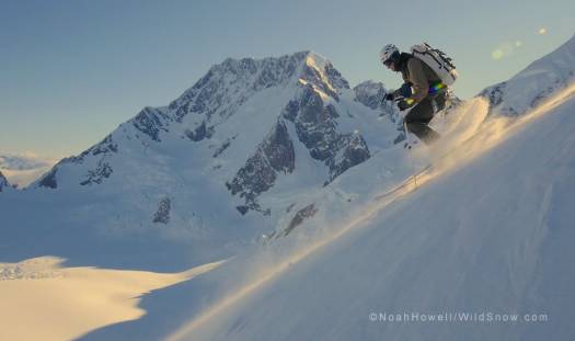 Beau lower down on Mount Dixon.