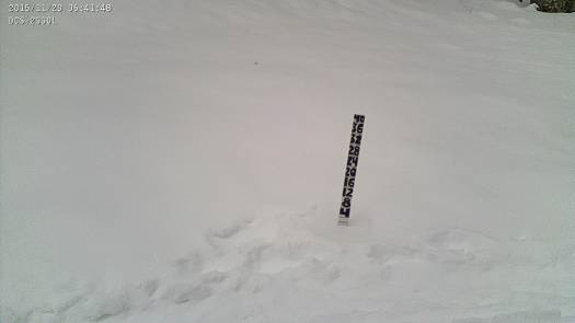 Our camera at WildSnow Field HQ, sends still images to our webserver. Our camera at WildSnow Field HQ, sends still images to our webserver.
