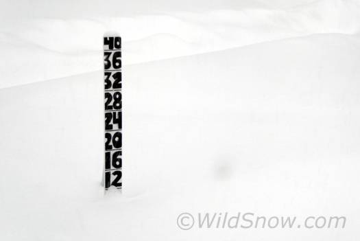Christmas day at WildSnow Field HQ, we receive the gift with gladness! Christmas day at WildSnow Field HQ, we receive the gift with gladness!