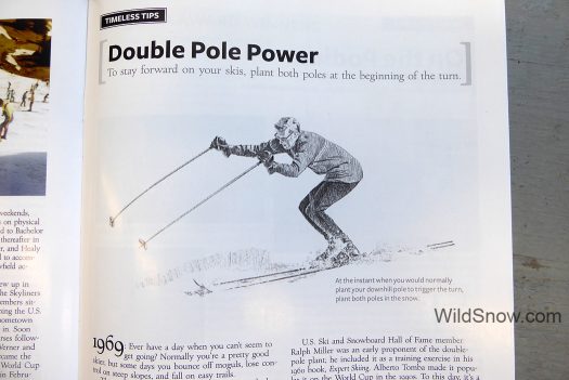 Double pole plant was viable in the 1960s, what about now? Double pole plant was viable in the 1960s, what about now?