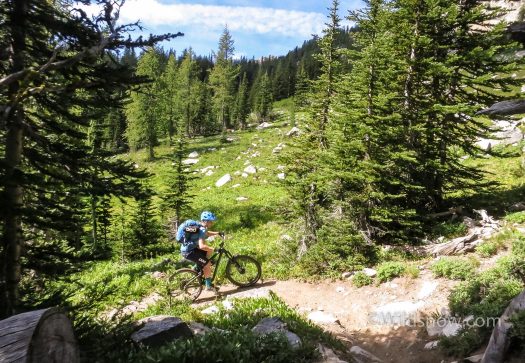 IMG_1015-August 13, 2016-1 The first part of day was spent cranking up trail. We started in the trees, eventually reached alpine meadows, and finally onto rocky ridgelines.