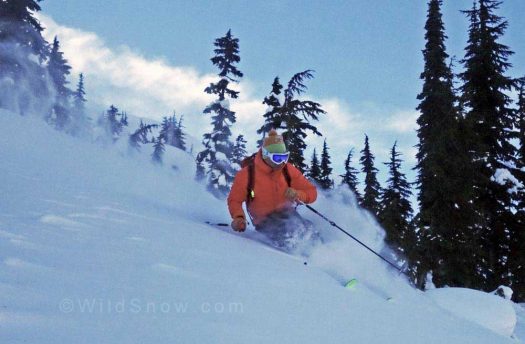 Decent snow in the trees