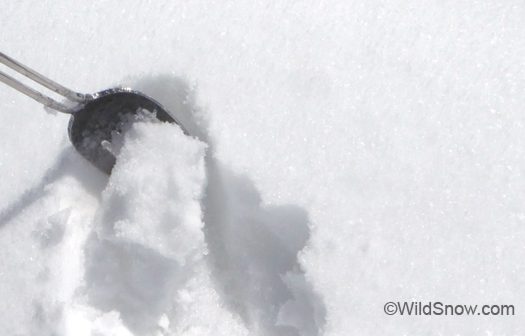 Spooner is specially shaped to dig faster than anything you've experienced. It's also a multi-purpose tool that works well for avalanche pit work and many other ski touring requirements. Spooner is specially shaped to dig faster than anything you've experienced. It's also a multi-purpose tool that works well for avalanche pit work and many other ski touring requirements.