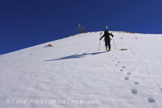 A massive amount of vertical and the climbing took off straight from A massive amount of vertical and the climbing took off straight from