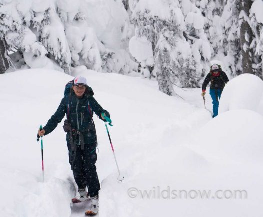 G3 Scala skins taking me to pow on Rogers Pass, Canada.